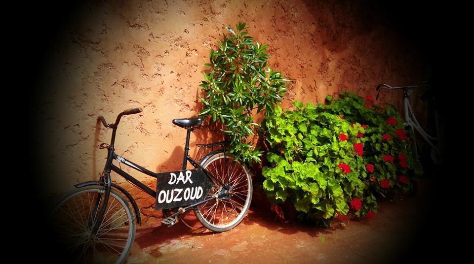 Dar Ouzoud Vegan Hotel Exterior photo